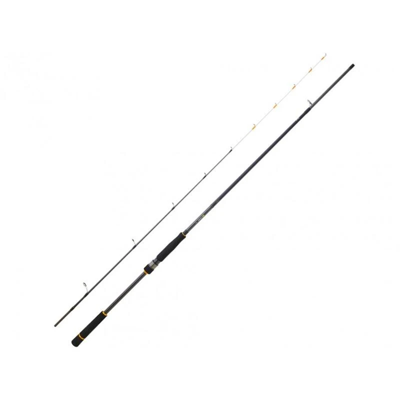 Canne Spinning Daiwa BG Tenya Game (133g - 2m40 - 10 - 42g - 2) 1 Canne Spinning Daiwa BG Tenya Game (133g - 2m40 - 10 - 42g - 2)