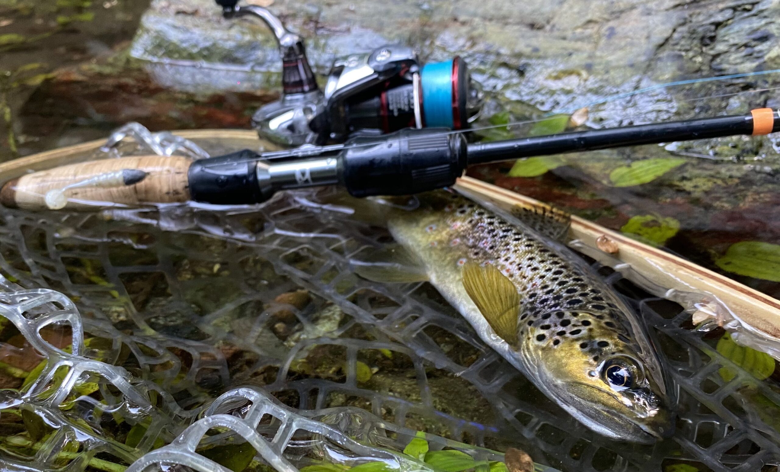 Pêche Passion Soldes -Pêche Passion Soldes image0 56 scaled 1